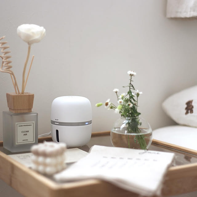 mamoroom,ダニ用,マモルーム,快適な暮らし,虫対策,アース製薬,ダニ対策,こども部屋,女の子の部屋,韓国インテリア,韓国雑貨,My Shelf comiriの部屋
