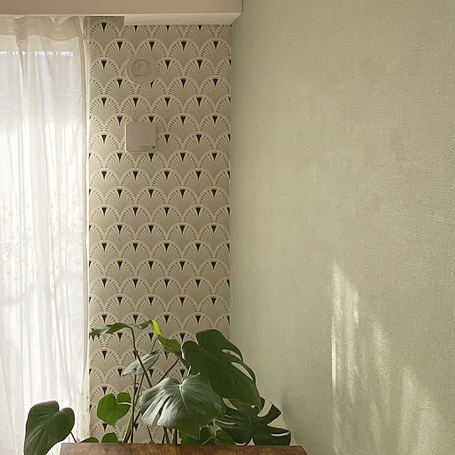 ペイント壁,セルフリフォーム,DIY,輸入壁紙,輸入クロス,アクセントクロス,マンションリビング,新築マンションインテリア,観葉植物,マンションインテリア,ミックスインテリア,ベンジャミンムーア,Lounge Kの部屋