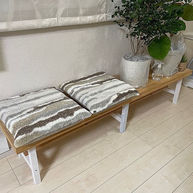 Lounge,ウンベラータ,ベンジャミンバロック,ロングベンチ,ベンチ　DIY,SHEINクッションカバー,SHEIN購入品,DIY,リメイク,リメイクDIY,SDGs,冬の模様替え,鉢にビニールかぶせて防寒対策 t-famの部屋