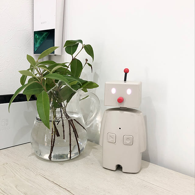 発達障害,発達障がい児の子育て,bocco,ロボット,防災,防災グッズ,こどものいる暮らし,My Shelf shiratamaの部屋