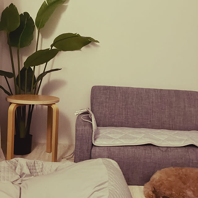 Lounge,一人暮らし aiの部屋