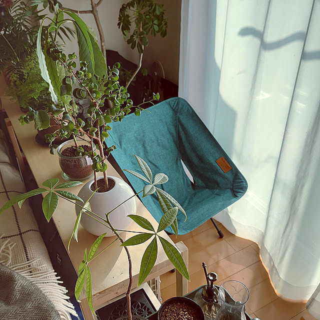 Bedroom,1LDK,二人暮らし,ふたり暮らし,賃貸インテリア,観葉植物,ヘリノックス,窓際,IKEA,DIY,パキラ,アジアンタム,フィカスベンジャミンバロッグ,テーブルヤシ rinotの部屋