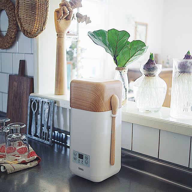 植物のある暮らし,カシワバゴムの枝,ヒヤシンス水栽培,ヨーグルトメーカー,おうち見直しキャンペーン,RoomClipショッピング,Kitchen hakoniwaの部屋