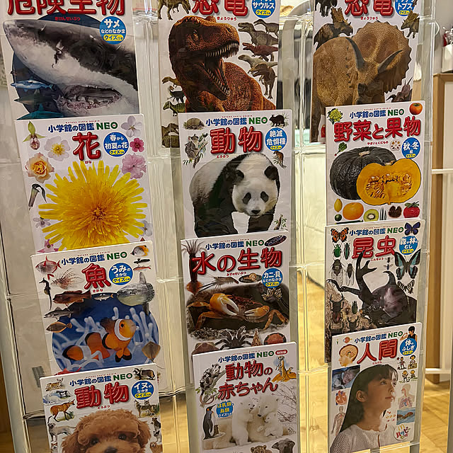 On Walls,ハッピーセットのおまけ,ケーアイジャパン,ウォールポケット,表紙が見える,ハッピーセットの図鑑 shiruhinaの部屋