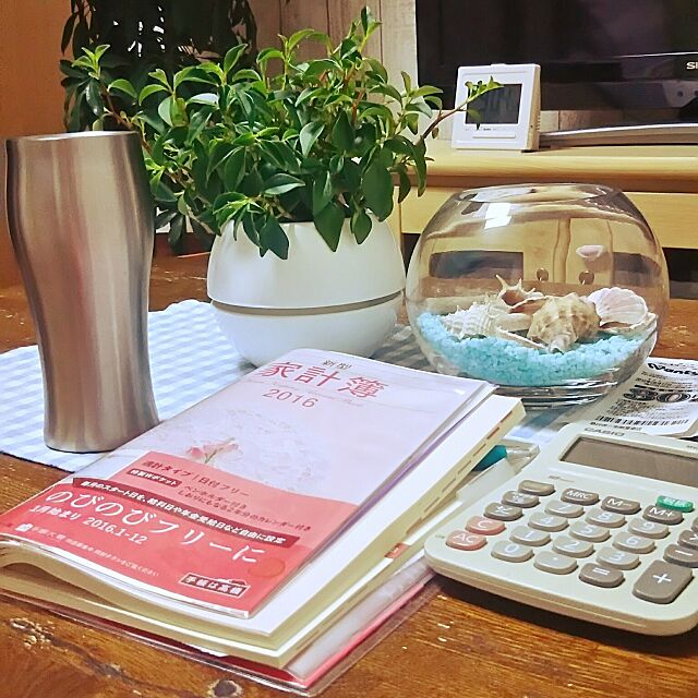 My Desk,家計簿,電卓,ニトリのガラスケース,貝殻,観葉植物　 naopyiの部屋