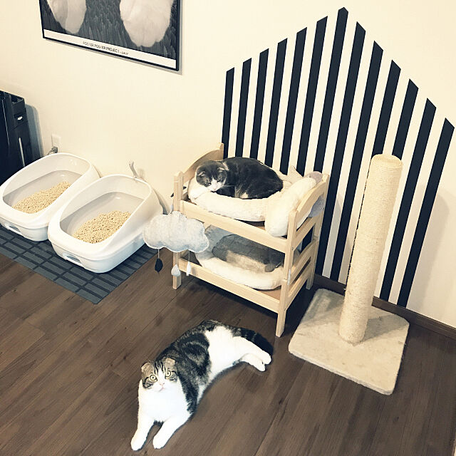Bedroom,モノトーン,ハウスモチーフ,ねこのいる日常,ねこと暮らす。,猫,白黒,北欧,IKEA,insta→tansuke0323,マスキングテープ,キャットタワー,猫トイレ,ストライプ tansukeの部屋