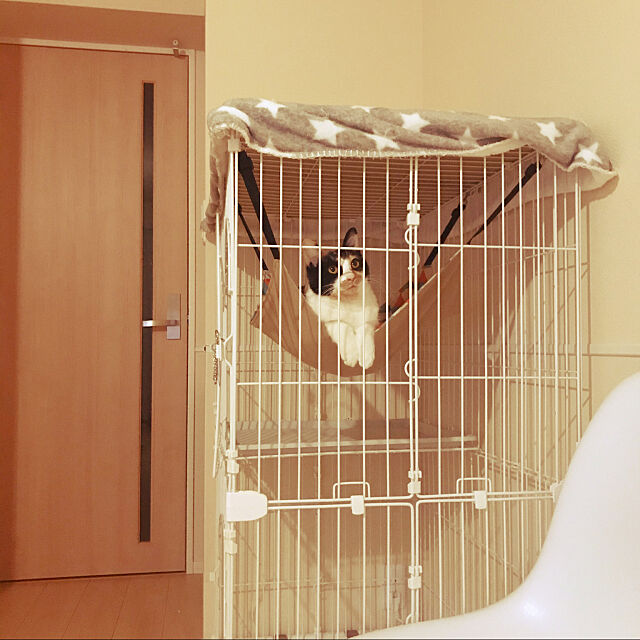 猫のハンモック,無印良品,ナチュラル,IKEA,一人暮らし,1K,猫との暮らし,Lounge goomayuの部屋