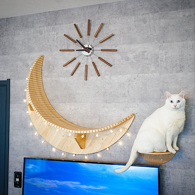 キャットステップ,キャットウォーク,Lunaキャットステップ,myzoo,ねこと暮らす。,中古住宅,ねこのいる日常,猫のいる暮らし,壁掛けテレビ,コンクリート風壁紙,壁掛け時計,Lounge yuiiiの部屋