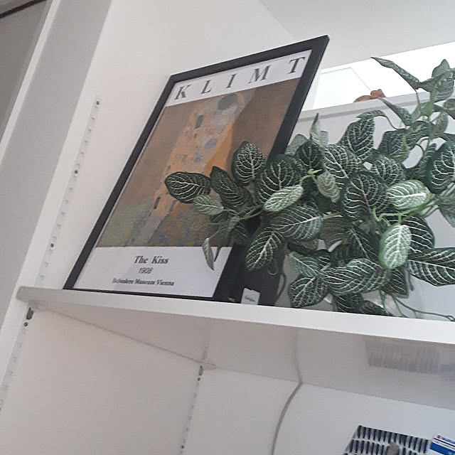On Walls anmomaruの部屋