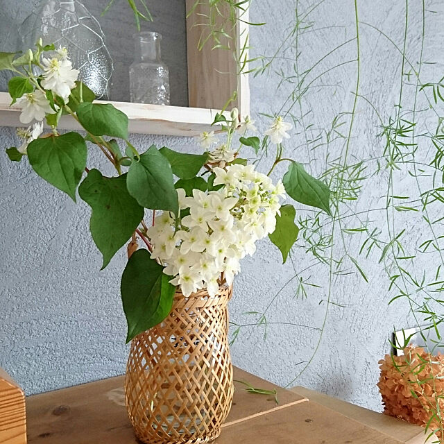 Lounge,みどりのある暮らし,植物,花のある暮らし,マンションインテリア,漆喰壁,ナチュラルカントリー,木工DIY naoyo-2525の部屋