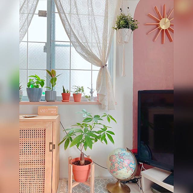 観葉植物インテリア,観葉植物,観葉植物のある暮らし,ダイソーパキラ,パキラ,休日の過ごし方,ミックスインテリア,海外インテリアに憧れる,DIY,DIYインテリア,カフェ風インテリア,ボヘミアンインテリア,ダイソー観葉植物,窓辺のグリーン,Lounge rumi_ebiの部屋