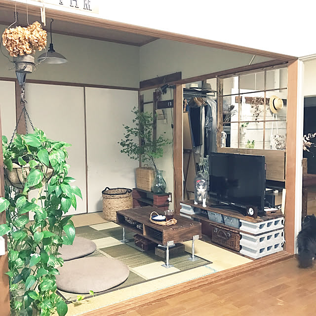 Lounge,ポトス,くつろぎ空間,NO GREEN NO LIFE,DIY,和室,後藤照明,ムック,ねこ部,一人暮らし,保護ねこ部,モッシュ,ウォーターヒヤシンス,ドウダンツツジ,ニトリ,テーブルdiy,間仕切りDIY mucc08の部屋