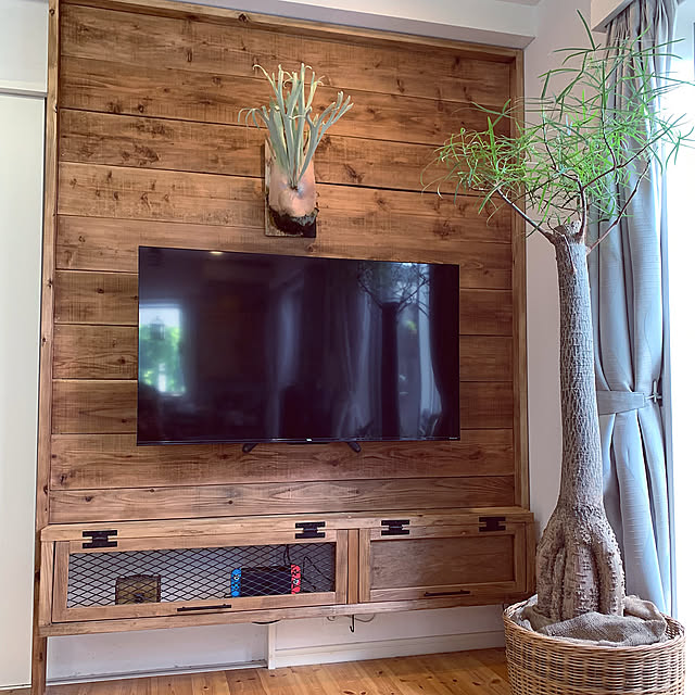 Lounge,ビカクシダ,テレビ,地震対策,DIY,板壁,ナチュラルインテリア,壁掛けテレビ,NO DIY NO LIFE,GOGYOU FACTORY,植物,インダストリアル,NO GREEN NO LIFE,ボタニカル,グリーンのある暮らし,観葉植物のある暮らし,観葉植物 UGの部屋