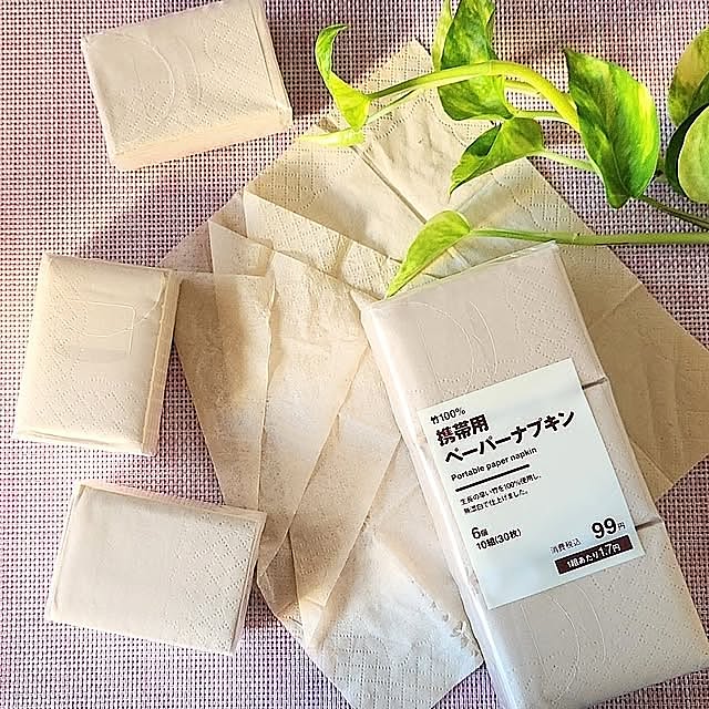 観葉植物,無印良品,グリーン,マンション,ティッシュ,3LDK,携帯用ペーパーナプキン,竹100%,災害対策,2025.7.14いまトピ掲載,My Shelf love1017の部屋