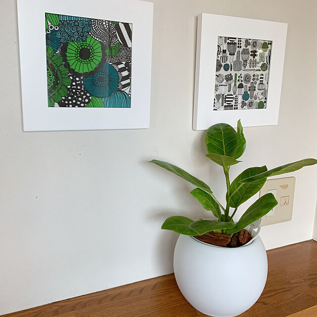フィカスアルテシマ,マリメッコ,観葉植物,My Shelf noelの部屋