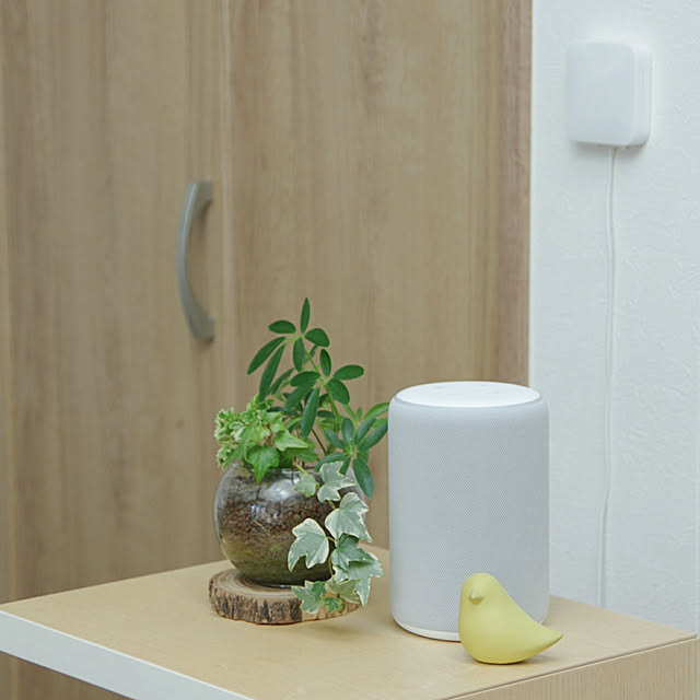 On Walls,暮らしを変えたもの,Nature Remo,amazon echo,スマートホーム,AIスピーカー Shooowkoの部屋