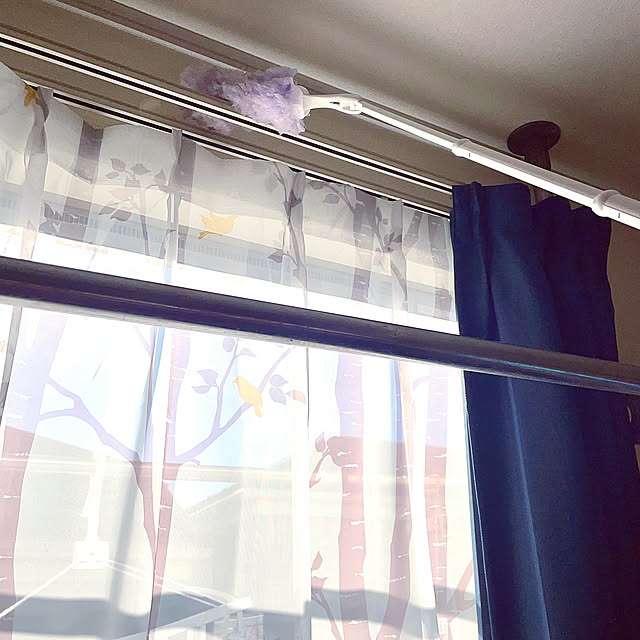 伸びて楽々掃除,クイックル ハンディ,暮らしの味方,NO GREEN NO LIFE,黒柴のいる暮らし,うさぎと暮らす,建売住宅だけど可愛く☆,白柴のいる暮らし,お花に癒されるᙏ̤̫͚ᙏ̤̫͚,今年もあと少し…,大掃除,ミニウサギのいる暮らし,見ていただき⋆⸜ᵀᴴᴬᴺᴷ ᵞᴼᵁ⸝⋆,冬支度,コメントお気遣いなく(⁎ᴗ͈ˬᴗ͈⁎),柴犬と暮らす,Bedroom mo-nosukeの部屋