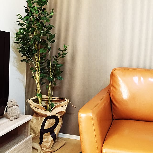 Lounge,米袋,フェイクグリーン,ニトリ Rieの部屋