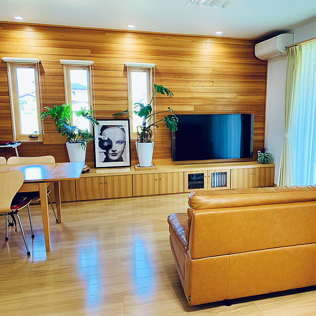 モニター応募投稿,レッドシダー,マイホーム記録,モンステラ,Lounge TOMOの部屋