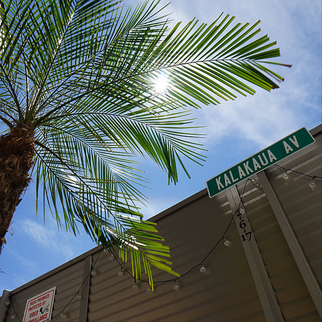 Entrance,フェニックスロベレニー,HAWAII,ハワイアン,ハワイ HiLifeの部屋