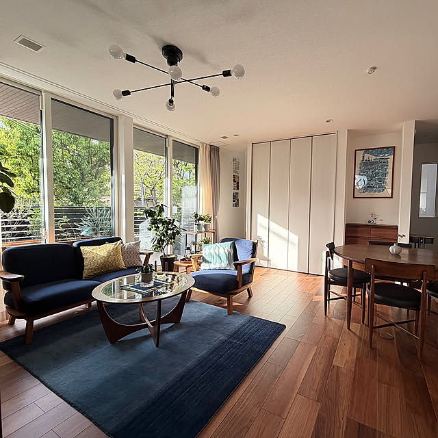 Overview,窓掃除,自然光,リビング,春 stの部屋