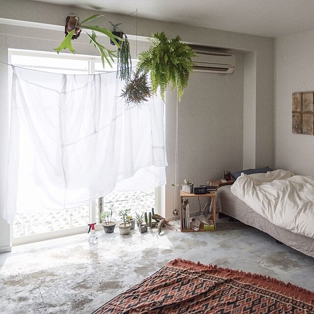 Lounge,NO GREEN NO LIFE,植物,メンズ部屋,一人暮らし,カーテン,賃貸 yasuakiの部屋
