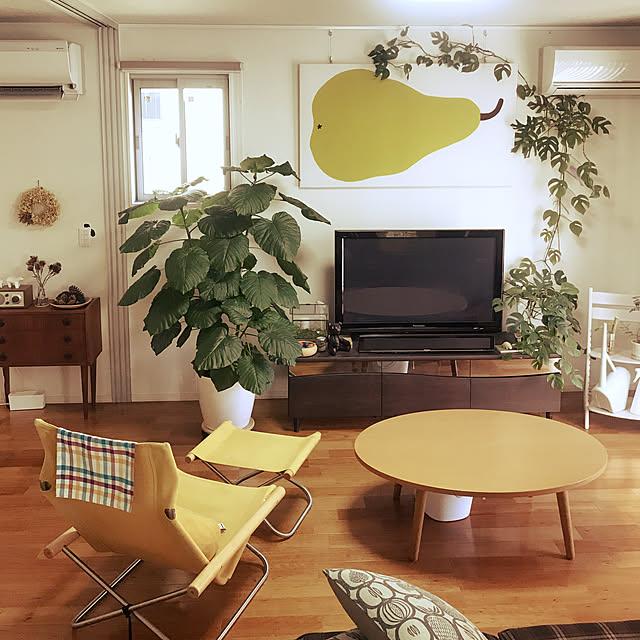Lounge,観葉植物,植物,北欧,ダイワハウス,ウンベラータ,一軒家,葉っぱ,静岡県民,Tivoli radio,ナチュラル,雑貨,ファブリックボード,モンステラ naka_tyu_mの部屋