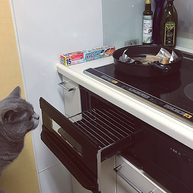 フライパン用ホイルシート,ティファールフライパン,魚はフライパンで,魚焼きグリル使わない派,やめたこと,ねこと暮らす,Kitchen,○○を使わない暮らし kittyの部屋