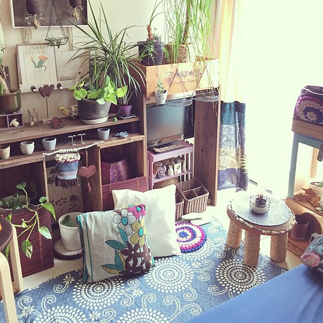 Bedroom,棚板リメイク,木箱リメイク,観葉植物,多肉植物,空き箱リメイク Norikoの部屋