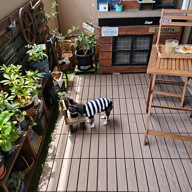 Entrance,ペットと暮らすインテリア,インスタ→lovepeacedog,ニトリ,室外機カバーDIY,山善,犬と暮らす家,ペットベッドDIY,コメントお気遣いなく♡,ニトリの折りたたみチェア,ニトリの折りたたみテーブル,山善ウッドパネル部,山善ウッドパネル,オヤツタイム,オヤツもベランダで lovepeaceの部屋