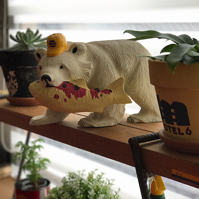 My Shelf,ANDY,観葉植物,DIY,木彫りの熊,一人暮らし,熊,熊の置物ペインティング,熊の置物 Mamoruの部屋