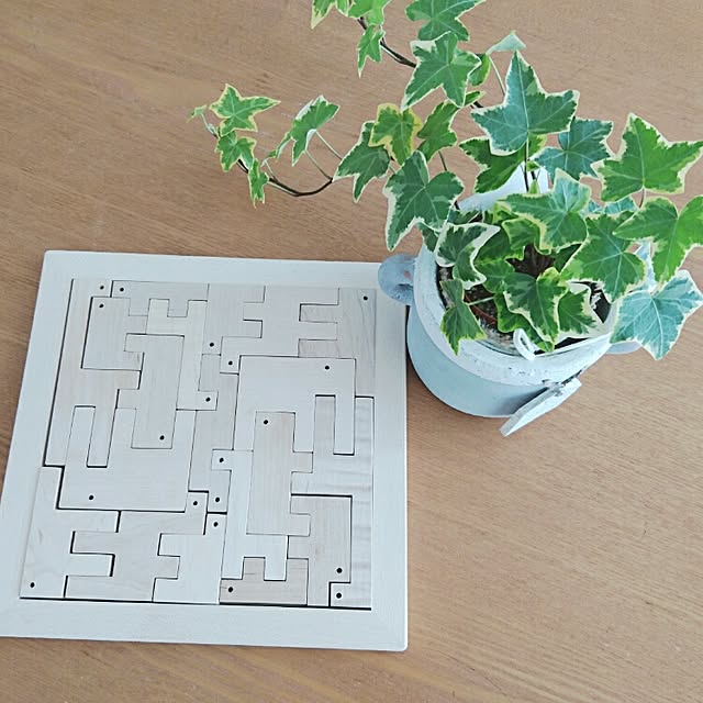 Lounge,無印良品,アイビー,アイビー伸び放題,子供のおもちゃ,木の玩具 manapipiの部屋