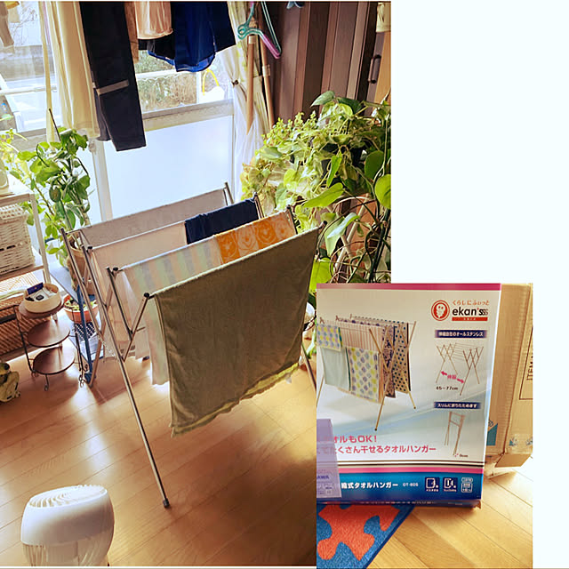 洗濯物干してみました！,バスタオル＆フェイスタオルハンガー！,やっと全部届いた(^^),オキナワスズメウリ部,自分達で出来る事は自分達で！,たくさん干せるタオルハンガー！,介護中でもステキに暮らしたい,スウェーデンアイビーの輪,ぼっちぼっち投稿,ステンレス伸縮式タオルハンガー！,いいねの押し逃げダッシュお許しを！,ゴミ屋敷 断捨離中,RoomClipショッピング,リハビリ中～♪,大好きな物に囲まれて暮らす♡,夜中に作業,お家見直しキャンペーン,古い昭和な家,フォロワーさんたちに感謝♡♥出逢いに感謝,当選しました♡,ごちゃ混ぜｲﾝﾃﾘｱの会,Lounge lilyの部屋