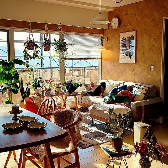 Lounge,アクセントクロス,DIY,リビングダイニング,ペンダントライト,壁紙,秋,壁紙屋本舗,unico ソファ,観葉植物のある暮らし,秋色インテリア,イベント参加中♡,リビングインテリア,いつも有り難う御座います♪,お家大好き引き篭もり,ぼちぼちマイペースに♪,家を目一杯楽しみたい,加湿器,冬支度 eの部屋