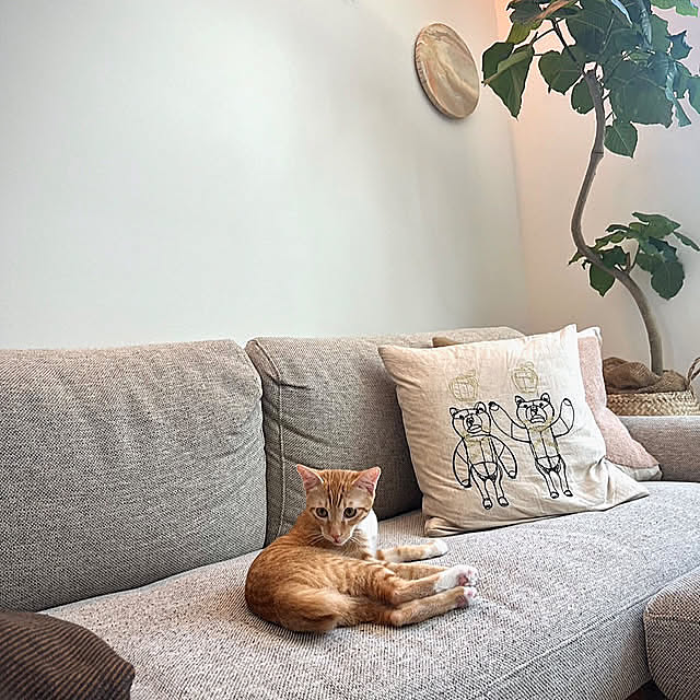 Lounge,unico クッション lrikaの部屋