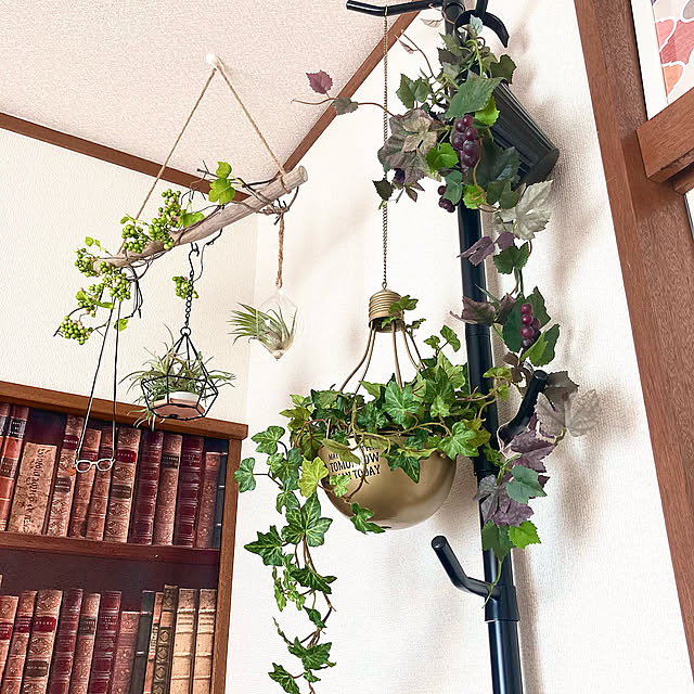 ぐりーんと暮らす,フェイクグリーン,エアープランツ,一人暮らし,ひとり暮らし,築40年以上賃貸,On Walls,天吊グリーン,つっぱり棒にフェイクグリーン,古い賃貸でも楽しく♫,植物のある暮らし,4.5畳 GowBooの部屋
