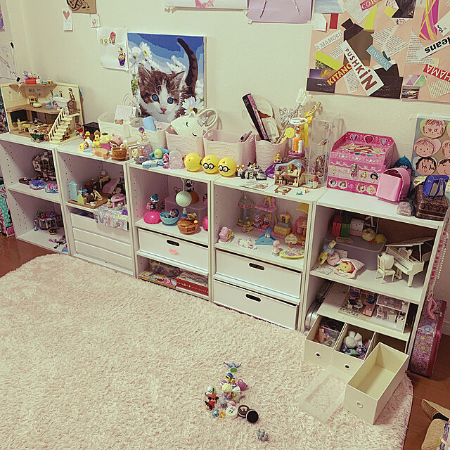 カラーボックス,シルバニア,LEGO,子ども部屋収納,子供部屋女の子,Overview mizutamaの部屋