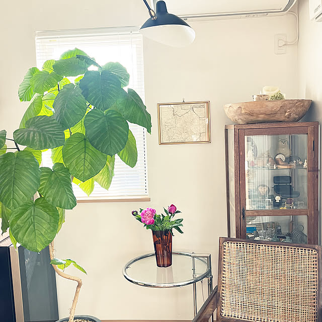 芍薬,アアルトベース,観葉植物,暮らしのひとコマ,お気に入り,くつろぎ空間,心地よい暮らし,すきなものに囲まれた暮らし,小さなしあわせ,私らしい暮らし,イッタラ,おうち時間,DIYのある暮らし,花のある暮らし,季節を楽しむ暮らし,Overview akiの部屋