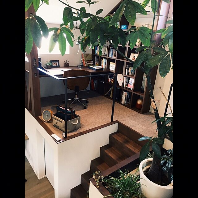 My Desk,アイカ面材,ウォルナット色,インドアガーデン,観葉植物,書斎コーナー,スキップフロア,ボロン Liv.diversの部屋