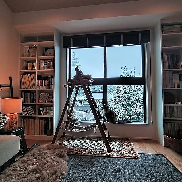 Overview,窓辺のインテリア,ネコが好き,好きな眺め,住友林業,庭を眺める暮らし,キャットタワー ハシゴ,サブリビング,大好きな物に囲まれて暮らす♡ hagyu7kuroの部屋