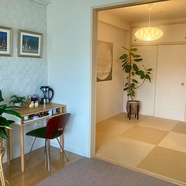 Lounge,和モダン,暮らしの投稿,マンション,マンション暮らし,観葉植物のある暮らし,観葉植物 marukoの部屋