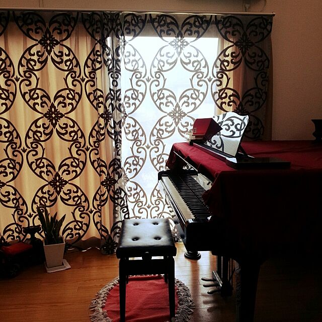 Overview,楽器,観葉植物,ピアノ lenmamaの部屋