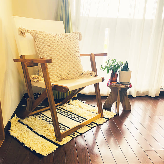 クッション,ラグ,チェア,ニトリ,アウトドアチェア,サボテン,Lounge monの部屋