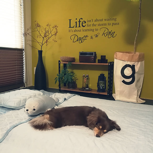 HOME COORDY,ホームコーディ,HOME COORDY COLD,モニター当選 rikakoの部屋