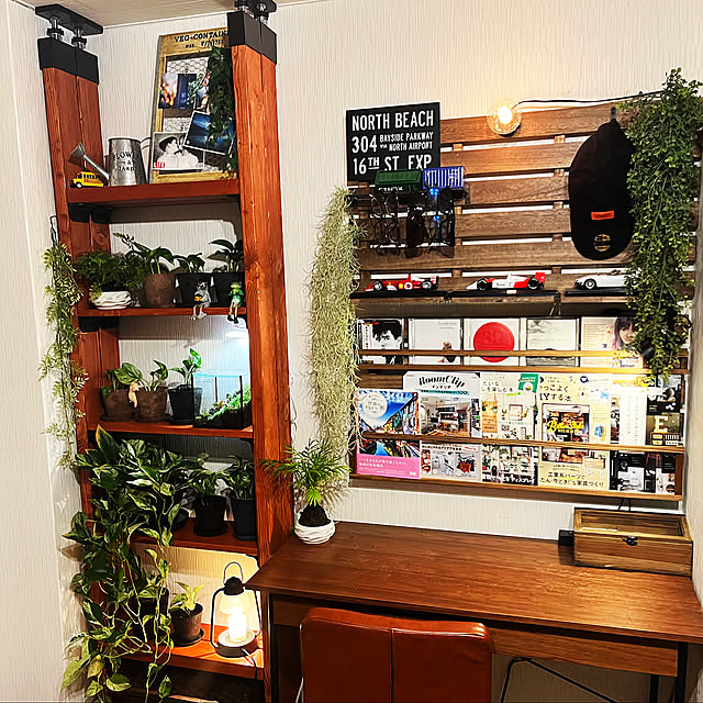 冬の模様替え,DIY,観葉植物,ライト,苔テラリウム,趣味部屋,照明,Lounge KEIGOの部屋