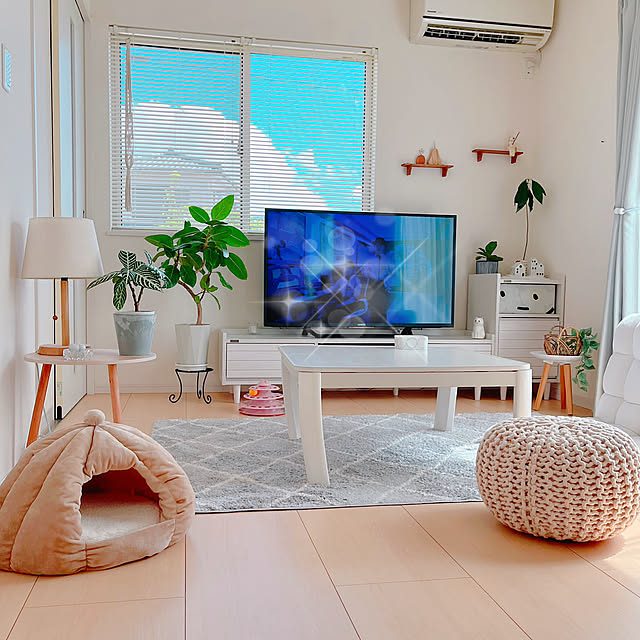 Lounge,キャットハウス,ホワイトインテリア,ナチュラルインテリア,グリーンのある暮らし,すっきり暮らしたい,いつもいいね♡コメありがとうございます♡,猫と暮らす,猫のいる日常,観葉植物のある暮らし,のちほどゆっくりお邪魔します☆ Miyu_の部屋