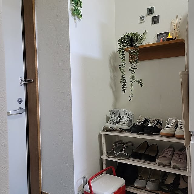 Entrance,一人暮らし,無印良品,IKEA,100均,フェイクグリーン e-ruの部屋