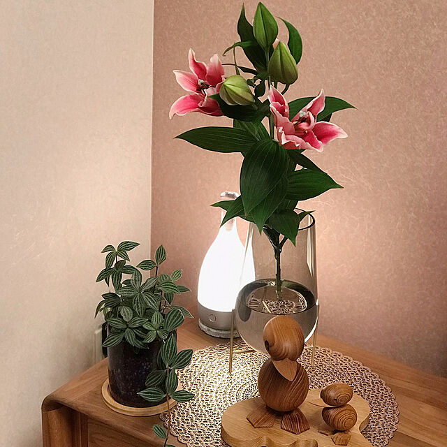 カリモク テレビボード,アーキテクトメイド ダック,百合の花,お花のある暮らし,ペペロミア,My Shelf Saraの部屋