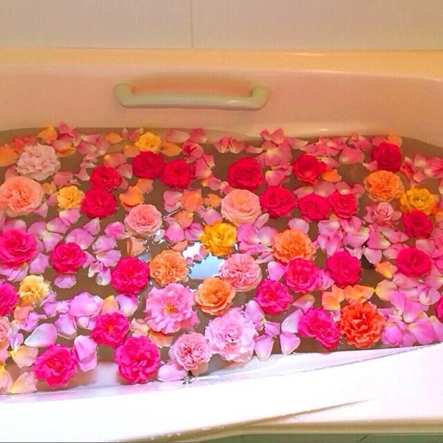Bathroom,コンテスト参加中,薔薇風呂,薔薇が好き,お花大好き♡,ガーデニング♡,フローティングフラワー,ピンク♡ HappyRoseの部屋