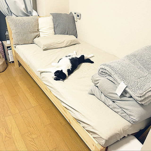 一人暮らし,賃貸,ひとり暮らし,ねこと暮らす,無印良品,Bedroom Chisaの部屋